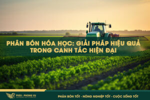 Phân Bón Hóa Học: Giải Pháp Hiệu Quả Trong Canh Tác Hiện Đại