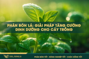 Phân Bón Lá: Giải Pháp Tăng Cường Dinh Dưỡng Cho Cây Trồng