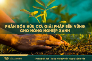 Phân Bón Hữu Cơ: Giải Pháp Bền Vững Cho Nông Nghiệp Xanh