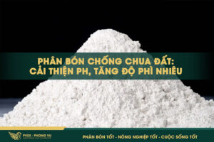 Phân Bón Chống Chua Đất: Cải Thiện pH, Tăng Độ Phì Nhiêu
