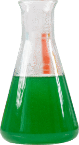 danh muc giai doan tao mam