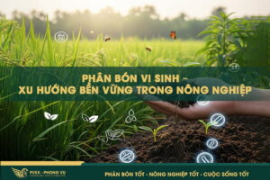 Phân bón vi sinh – Xu hướng bền vững trong nông nghiệp