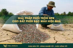 Giải pháp phối trộn NPK cho đất phèn bạc màu hiệu quả
