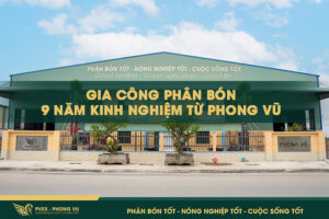 Gia công phân bón: 9 năm kinh nghiệm từ Phong Vũ