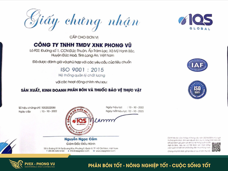 Gia công phân bón: 9 năm kinh nghiệm từ Phong Vũ 3 Gia công phân bón: 9 năm kinh nghiệm từ Phong Vũ