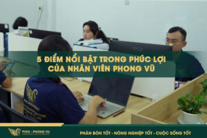 5 điểm nổi bật trong phúc lợi nhân viên Phong Vũ