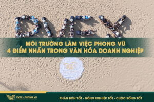 Môi trường làm việc Phong Vũ – 4 điểm nhấn trong văn hóa doanh nghiệp