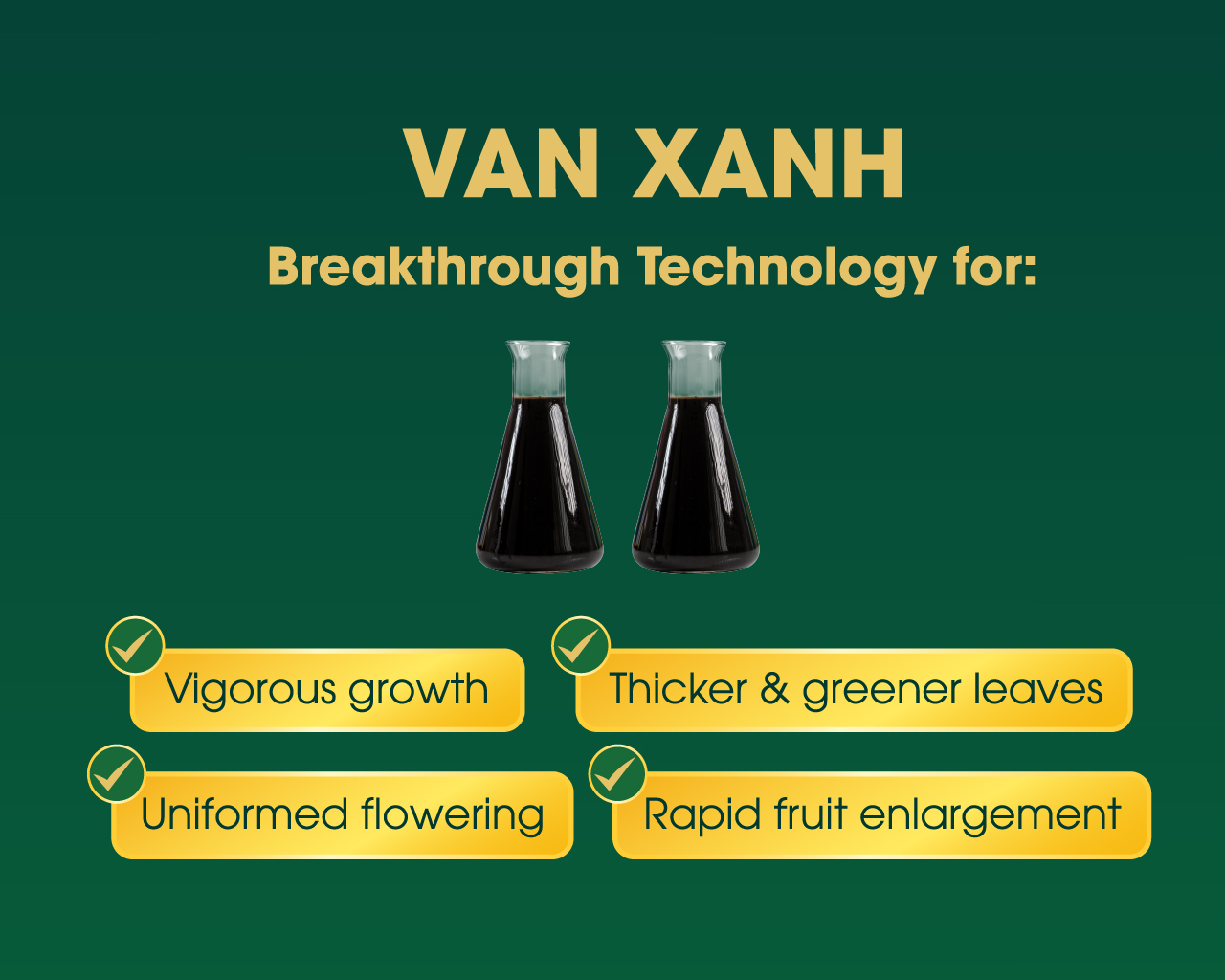 Landing page xk 05 04