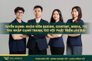 Tuyển dụng: Nhân viên Design, Content, Media, TTS – Thu nhập cạnh tranh, cơ hội phát triển lâu dài