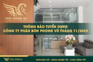 Thông báo Tuyển dụng Công ty phân bón Phong Vũ tháng 11/2025