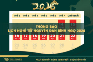 PVEX – PHONG VŨ THÔNG BÁO LỊCH NGHỈ TẾT NGUYÊN ĐÁN BÍNH NGỌ 2026
