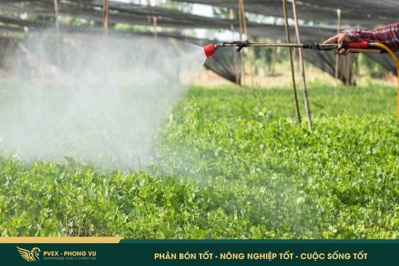 Phân MAP: Bật Mí Công Dụng & Cách Dùng ĐÚNG Chuẩn 2026 5 Phân MAP: Bật Mí Công Dụng & Cách Dùng ĐÚNG Chuẩn 2026