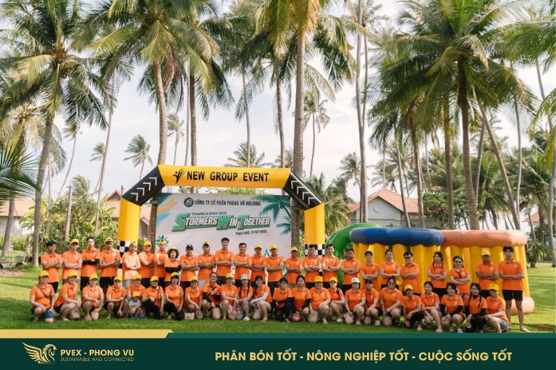18 phanbonphongvu.com
