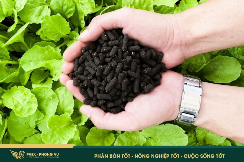 Phân bón hữu cơ: 5 điều cần biết để dùng 2 Phân bón hữu cơ: 5 điều cần biết để dùng