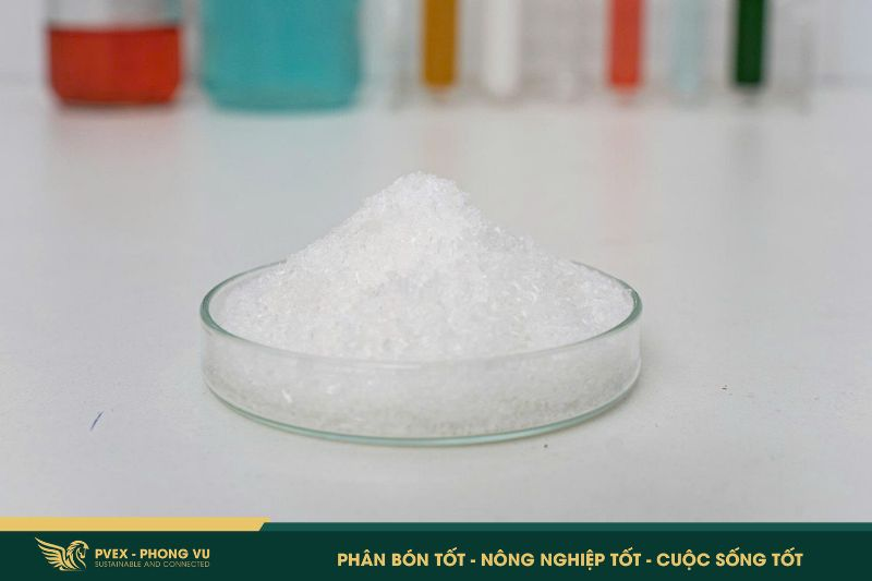 Phân MAP: Bật Mí Công Dụng & Cách Dùng ĐÚNG Chuẩn 2026 1 Phân MAP: Bật Mí Công Dụng & Cách Dùng ĐÚNG Chuẩn 2026