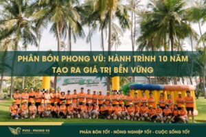 ANH BIA WEB 800X533 phanbonphongvu.com 1
