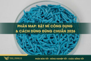 ANH BIA WEB 800X533 phanbonphongvu.com