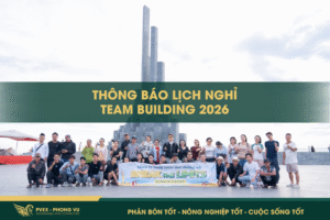 PVEX – PHONG VŨ THÔNG BÁO NGHỈ TEAM BUILDING 2026