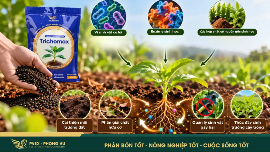 Định nghĩa chế phẩm sinh học