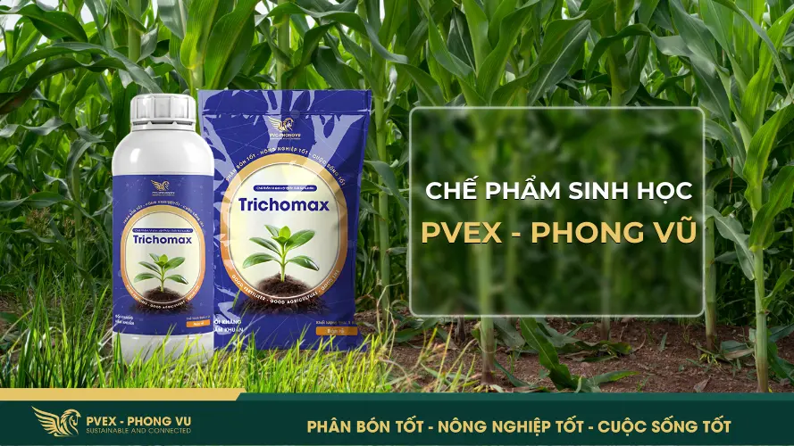 Chế phẩm sinh học do PVEX - Phong Vũ sản xuất