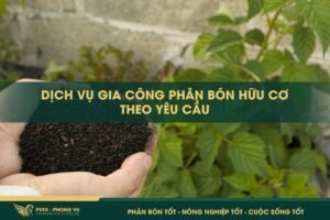 Dịch Vụ Gia Công Phân Bón Hữu Cơ Theo Yêu Cầu