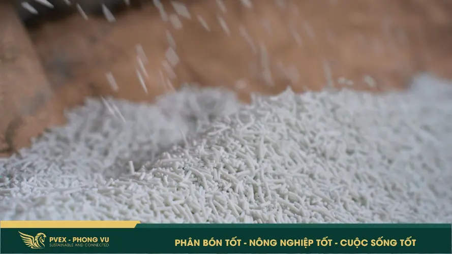 Phân bón NPK