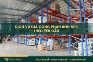 Dịch Vụ Gia Công Phân Bón NPK Theo Yêu Cầu Cùng PVEX