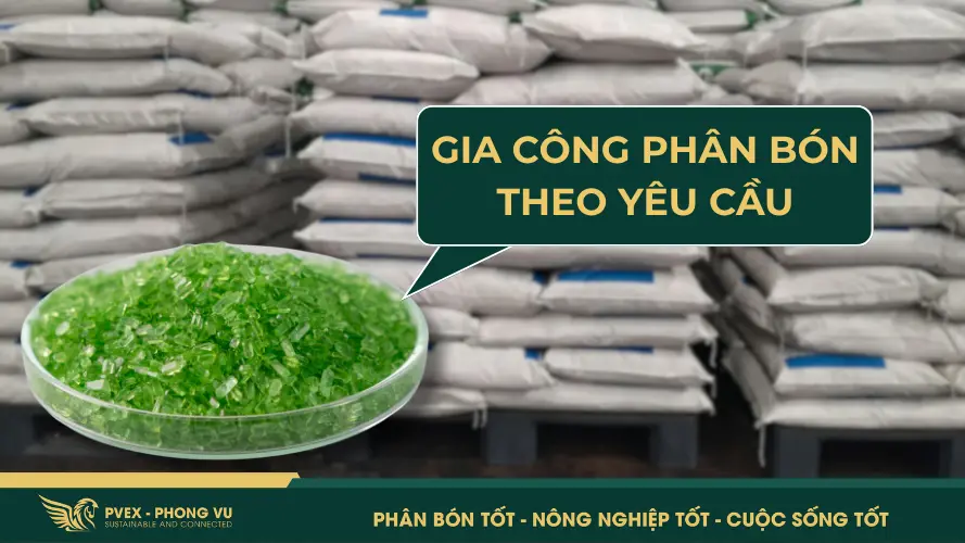 Gia Công Phân Bón Tại Hà Nội Theo Yêu Cầu – PVEX Phong Vũ 1 Gia công phân bón theo yêu cầu