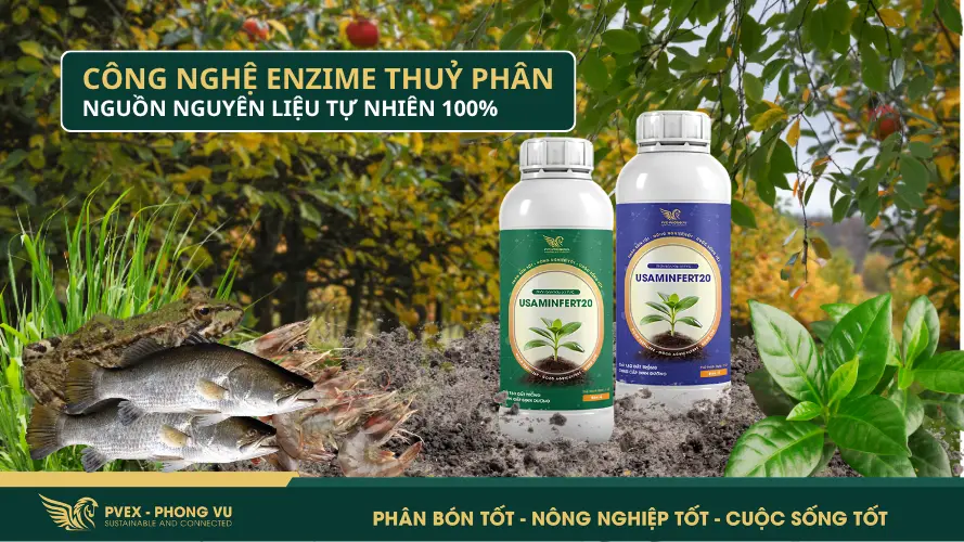 Đặc điểm nổi bật của phân hữu cơ do Phong Vũ sản xuất