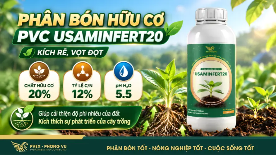 Phân bón hữu cơ PVC USAMINFERT20 - Giai đoạn ra rễ, vọt đọt