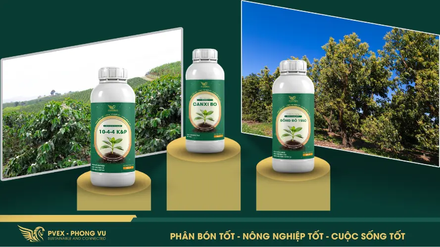 Các loại phân bón hỗ trợ kích rễ, vọt đọt do PVEX - Phong Vũ sản xuất
