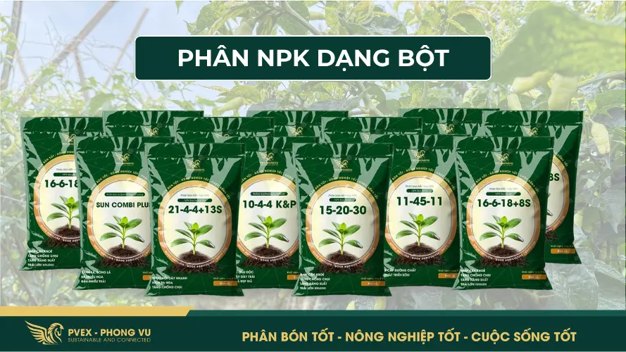 Các loại phân bón NPK dạng bột tại PVEX - Phong Vũ
