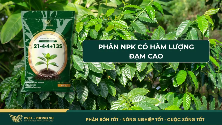 Phân bón NPK có hàm lượng đạm cao