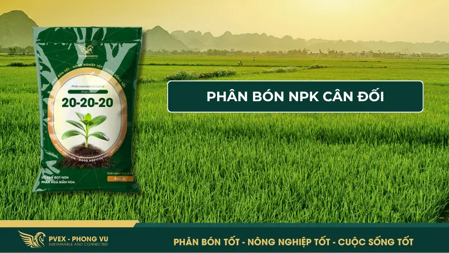 Phân bón NPK cân đối