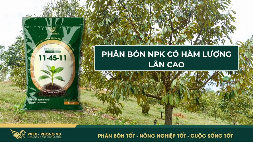 Phân bón NPK có hàm lượng lân cao