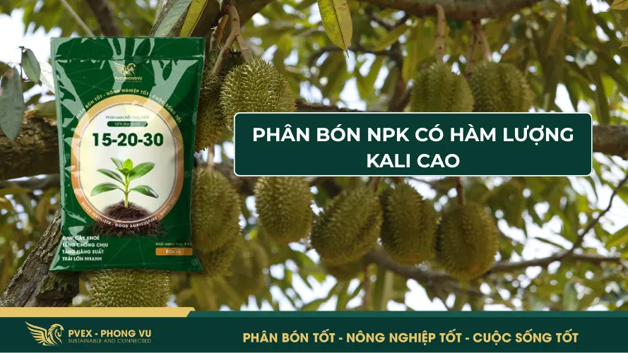 Phân bón NPK có hàm lượng kali cao