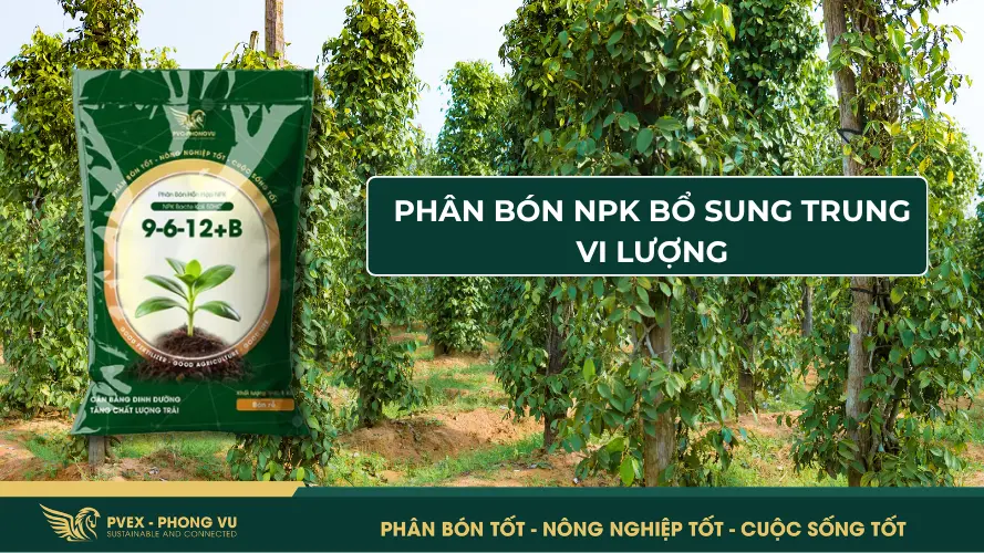 Phân bón NPK bổ sung trung lượng và vi lượng