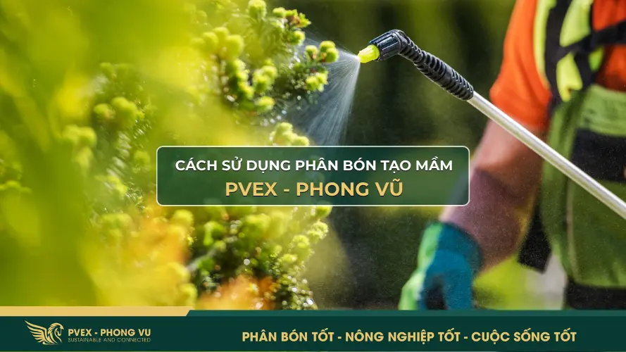 Các sử dụng phân tạo mầm hiệu quả